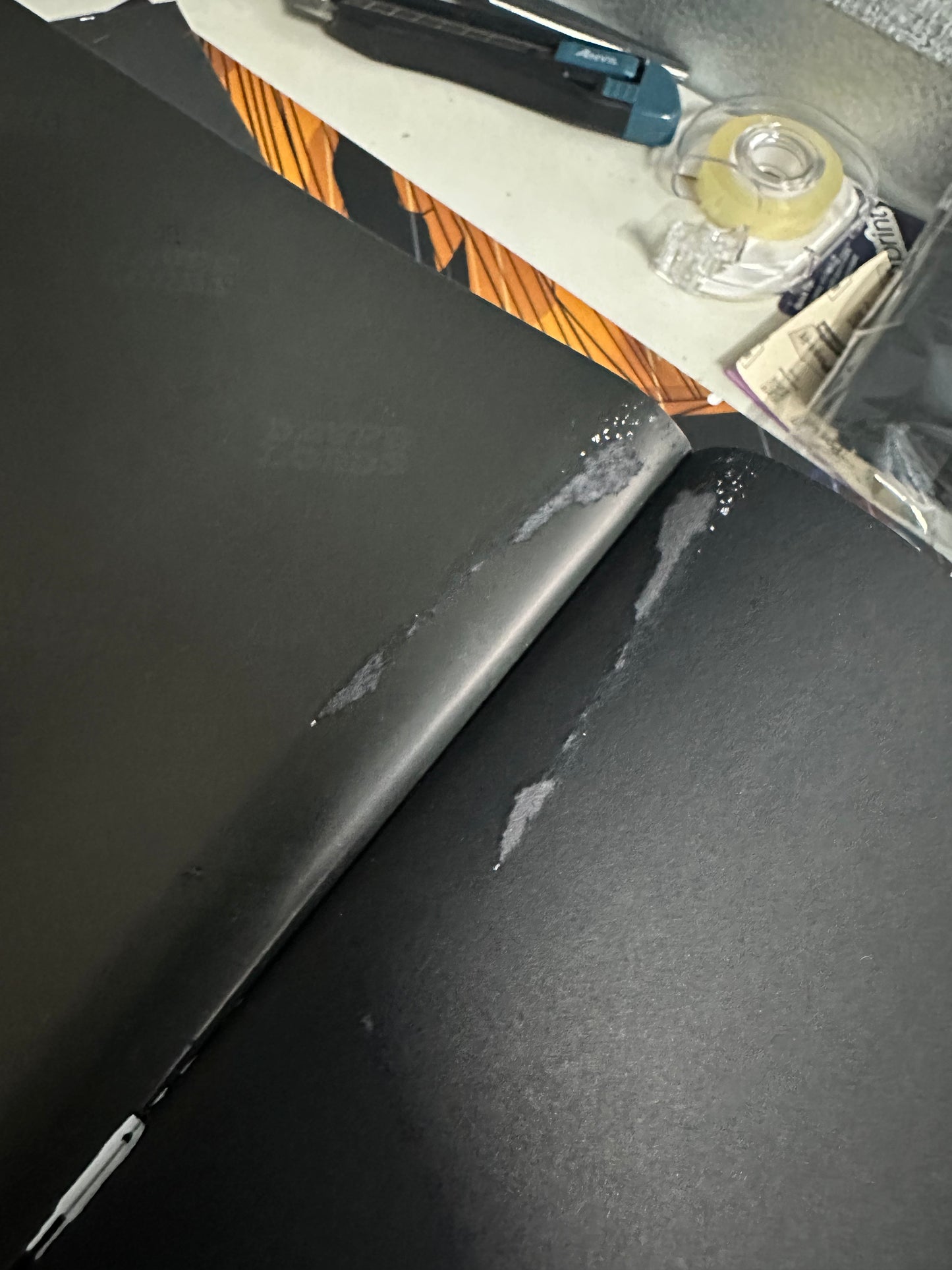 DAMAGED DAUPE LORDS BOOK