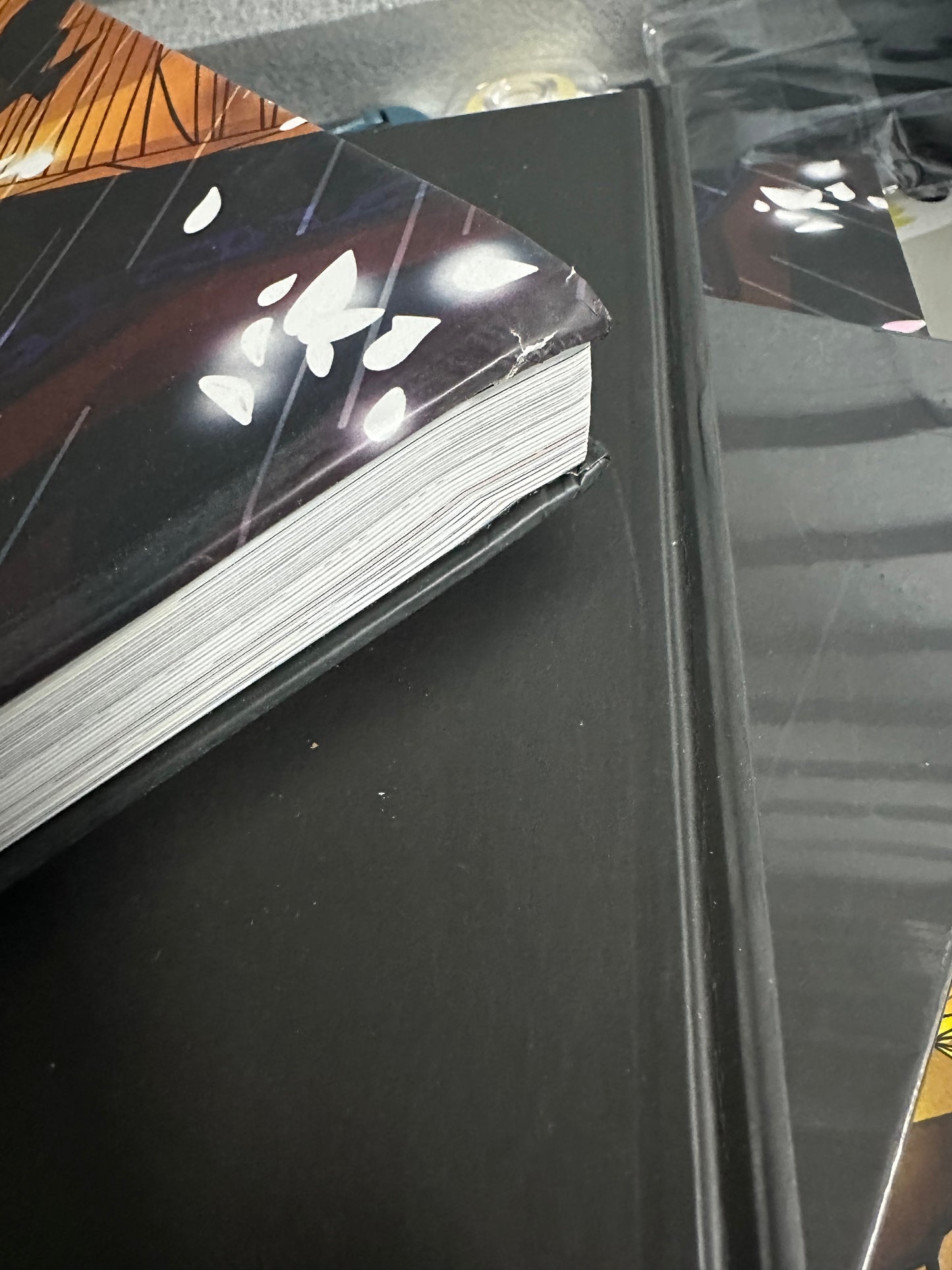 DAMAGED DAUPE LORDS BOOK