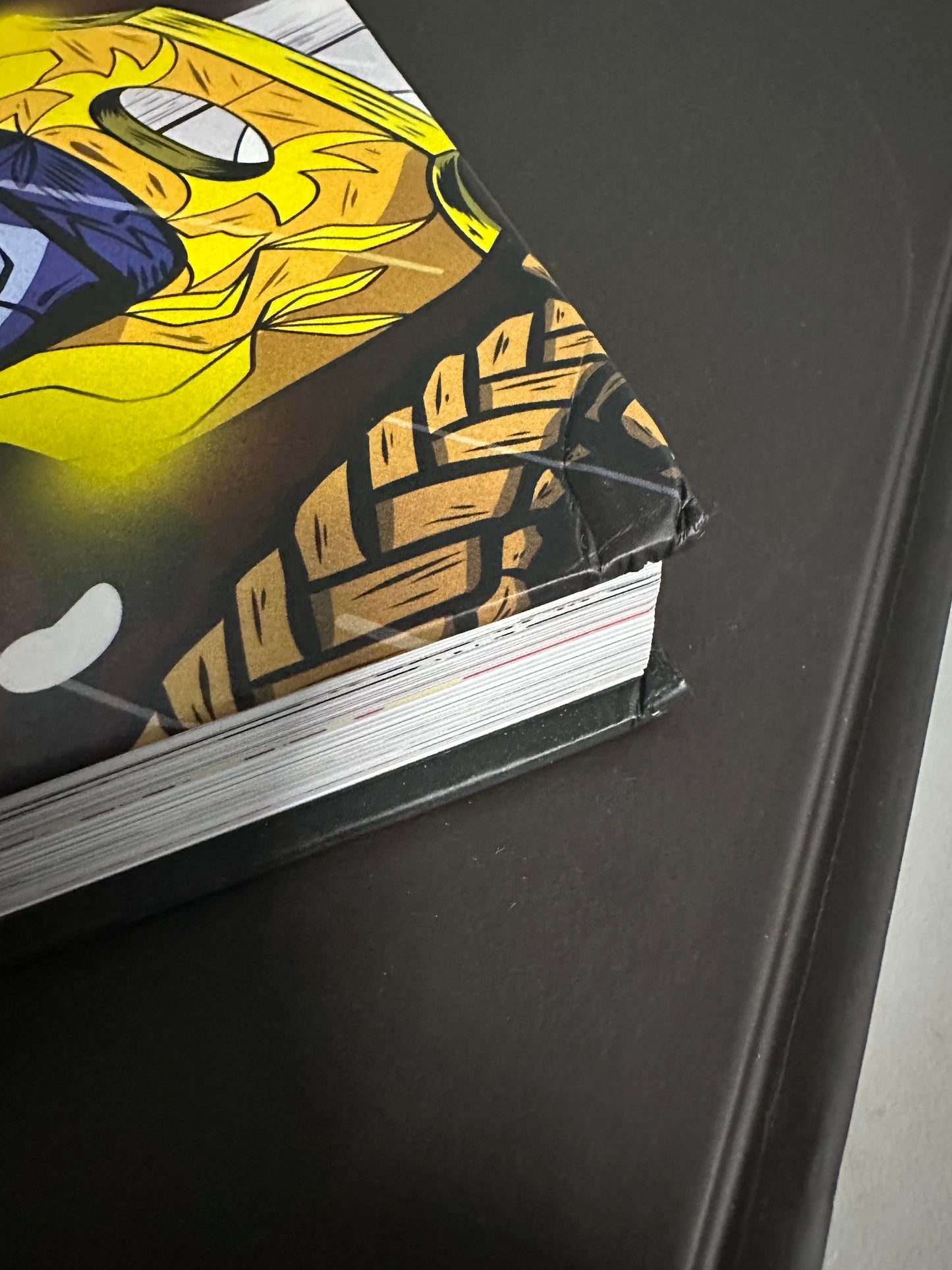 DAMAGED DAUPE LORDS BOOK